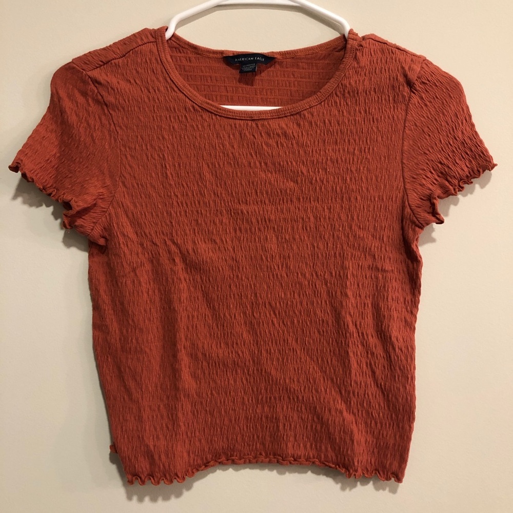 American Eagle Rust Crop Tee